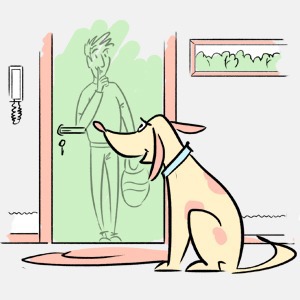 Откуда домашние животные заранее знают, что к вам придут гости? — Есть вопрос на The Village