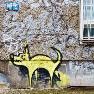 Большая перемена: Как город подготовился к саммиту G20 — Город на The Village