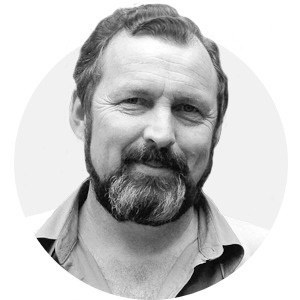Комментарий: Владимир Кревер о нашествии насекомых — Город на The Village