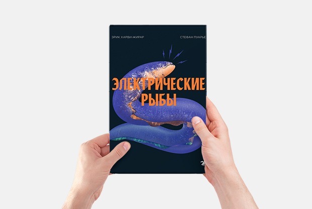 10 увлекательных научно-популярных книг для детей — Гид The Village на The Village