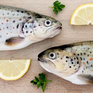 Как люди с аллергией на продукты питаются в ресторанах — Личный опыт на The Village