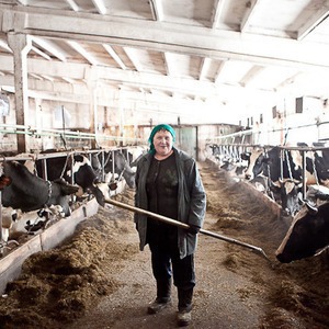 Репортаж: Как делают молочные продукты в «Лосево» — Как всё устроено на The Village
