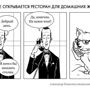 Постскриптум: Московский ресторан для животных — Люди в городе на The Village