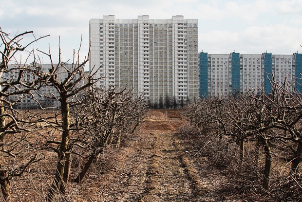 Почему отбирают земли у Тимирязевской академии — Истории на The Village