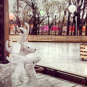 Первые Instagram-снимки катка в парке Горького — Галереи на The Village