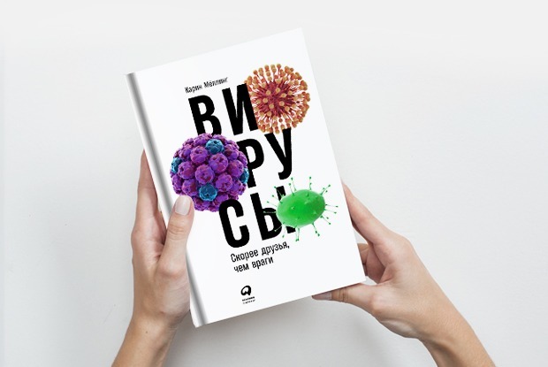 «Вирусы»: Почему холодильник грязнее туалета — Книга недели на The Village