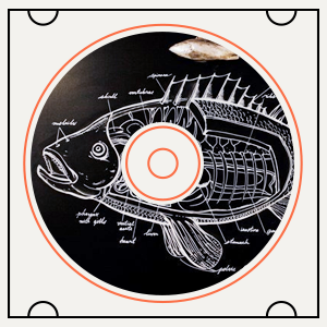 Какая музыка играет в рыбном ресторане Boston Seafood & Bar — Пока ты ел на The Village