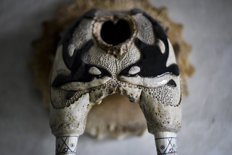 7J42tiyWsjqlLSMC06sj1Q можно ли плавать с касатками