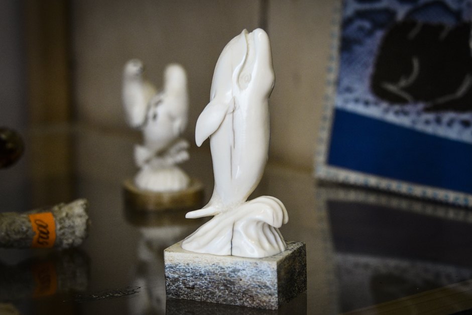 ArH uT8A643ZnqQG 48uIA можно ли плавать с касатками