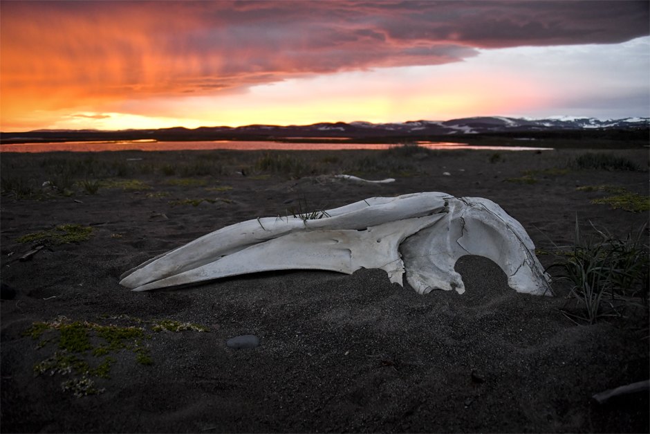 Po5dOY91 WFTMw7XVOBo5w можно ли плавать с касатками