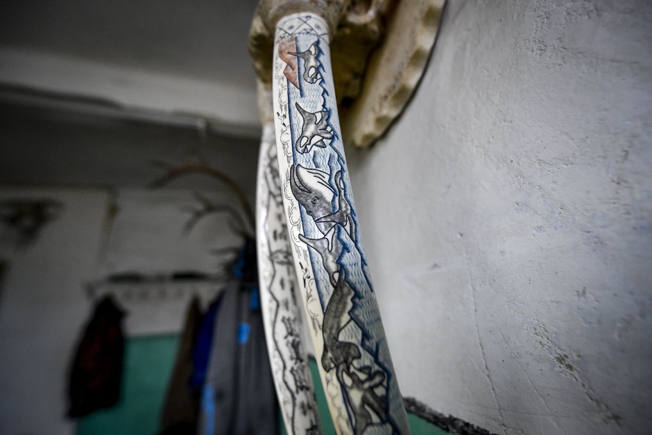 можно ли плавать с касатками