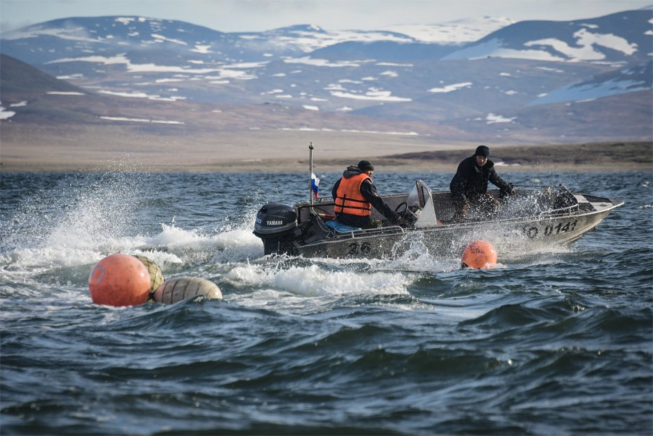 kBcKkPWCQovyoZIw8oDGdA можно ли плавать с касатками